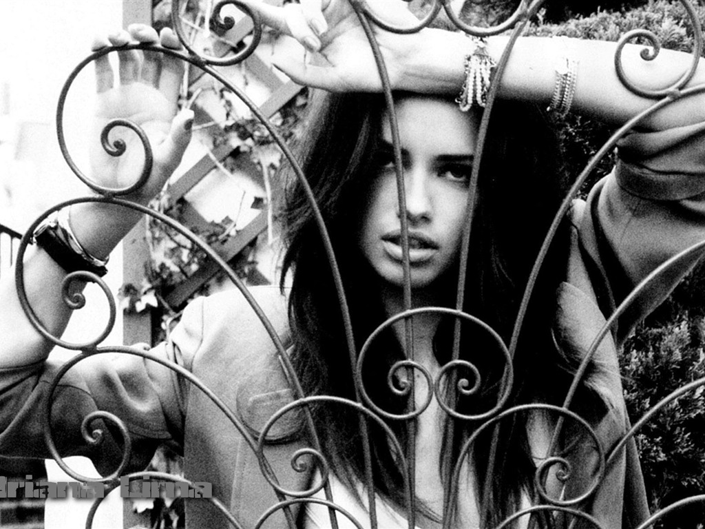 Adriana Lima #046 - 1024x768 Wallpapers Pictures Photos Images