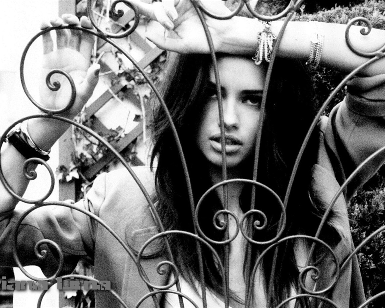 Adriana Lima #046 - 1280x1024 Wallpapers Pictures Photos Images