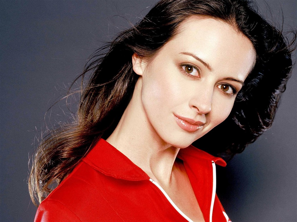 Amy Acker #002 - 1024x768 Wallpapers Pictures Photos Images