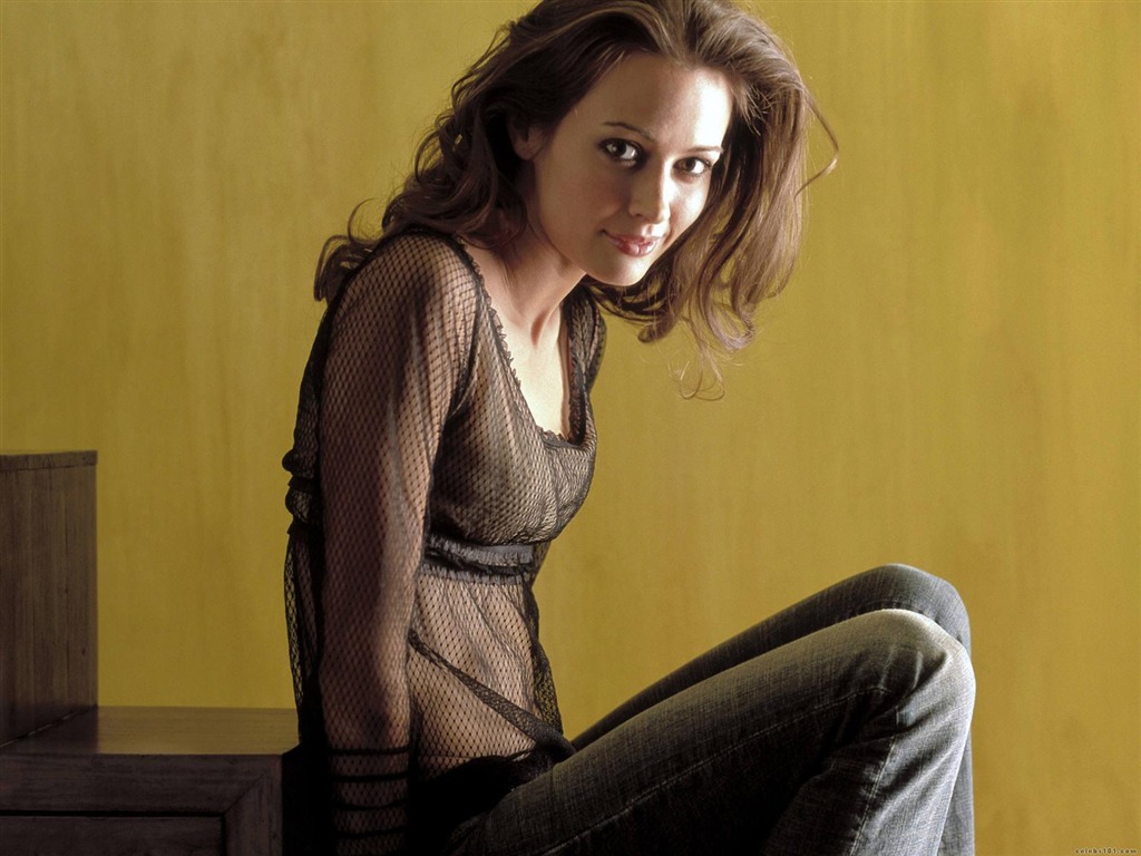 Amy Acker #005 - 1024x768 Wallpapers Pictures Photos Images