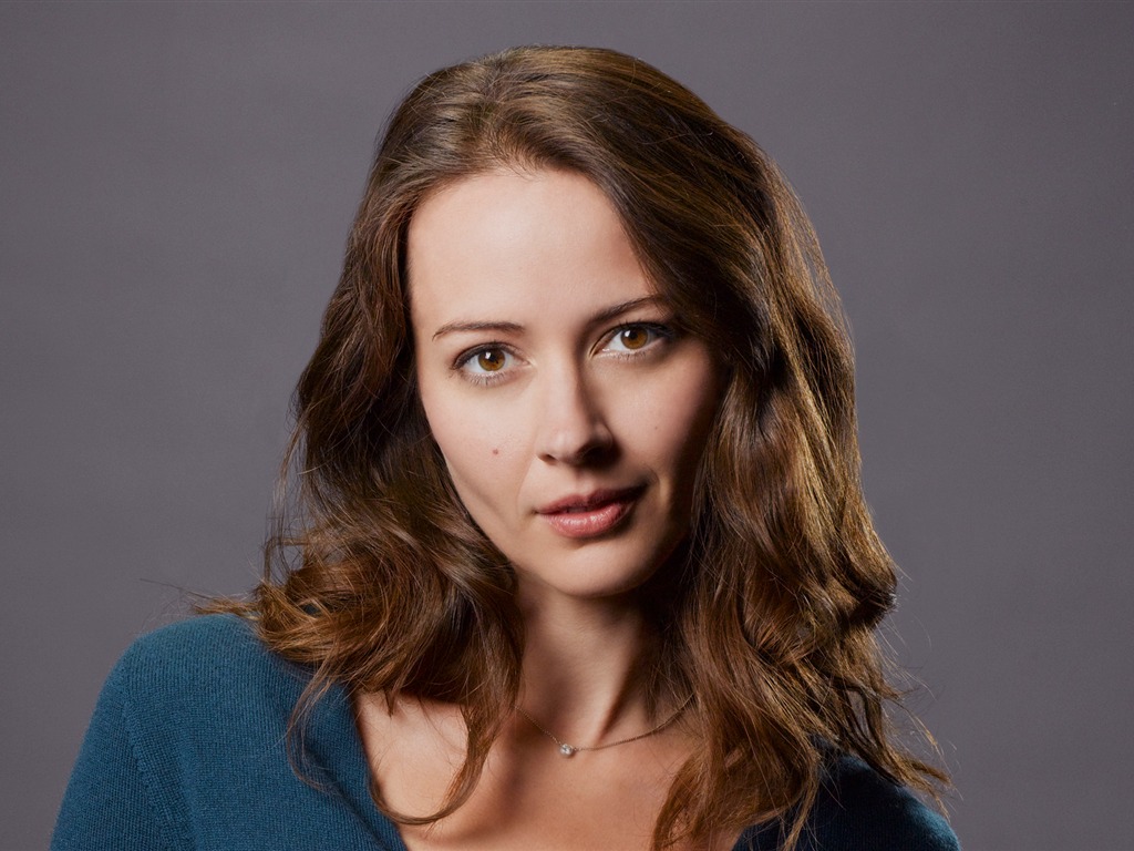 Amy Acker #006 - 1024x768 Wallpapers Pictures Photos Images