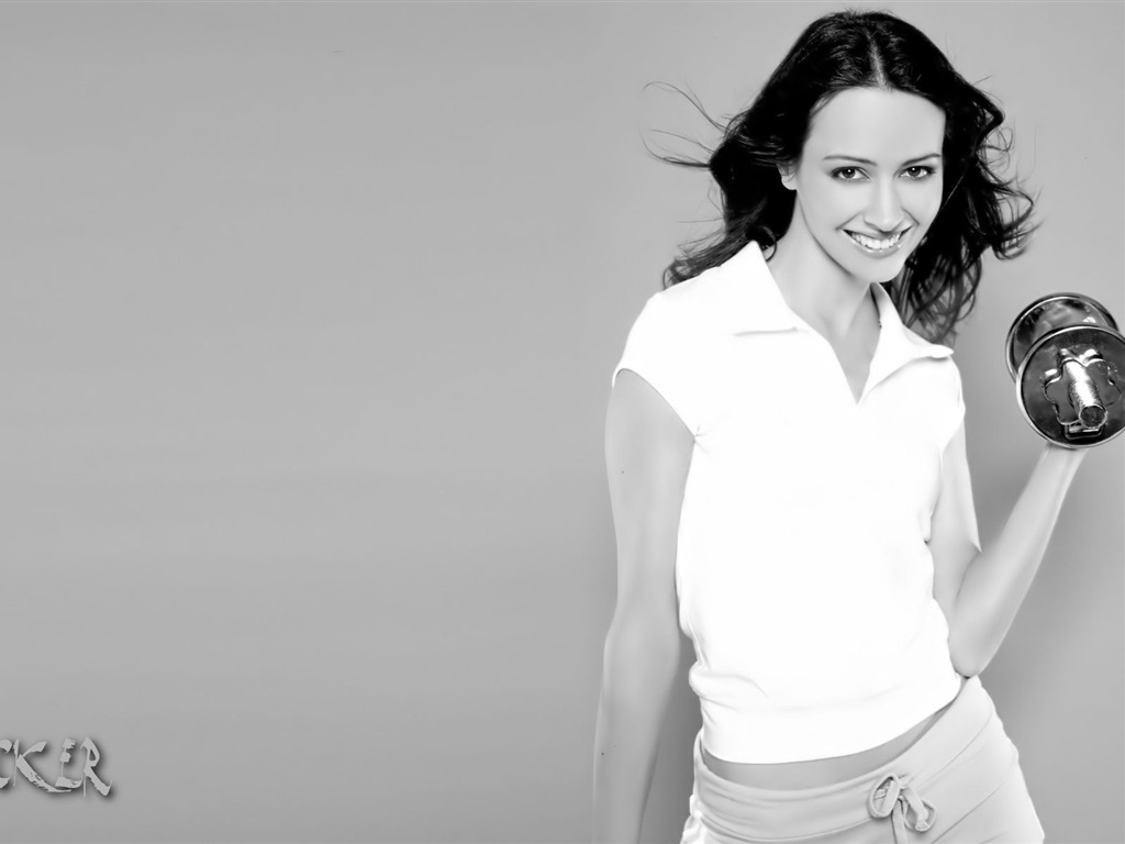 Amy Acker #008 - 1024x768 Wallpapers Pictures Photos Images