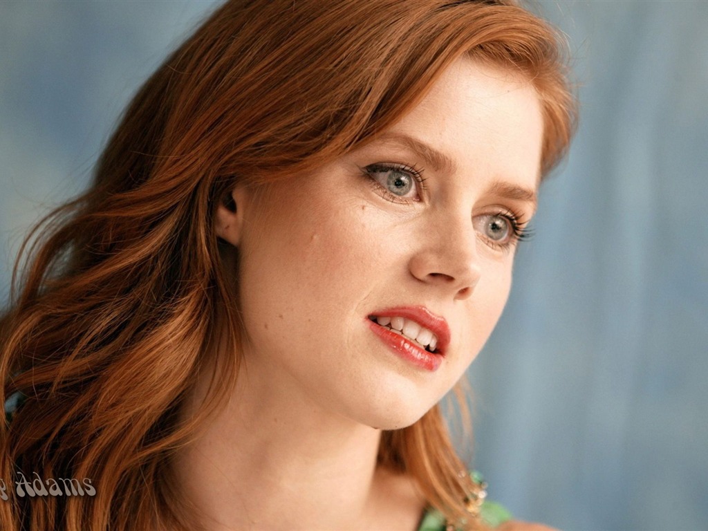 Amy Adams #009 - 1024x768 Wallpapers Pictures Photos Images