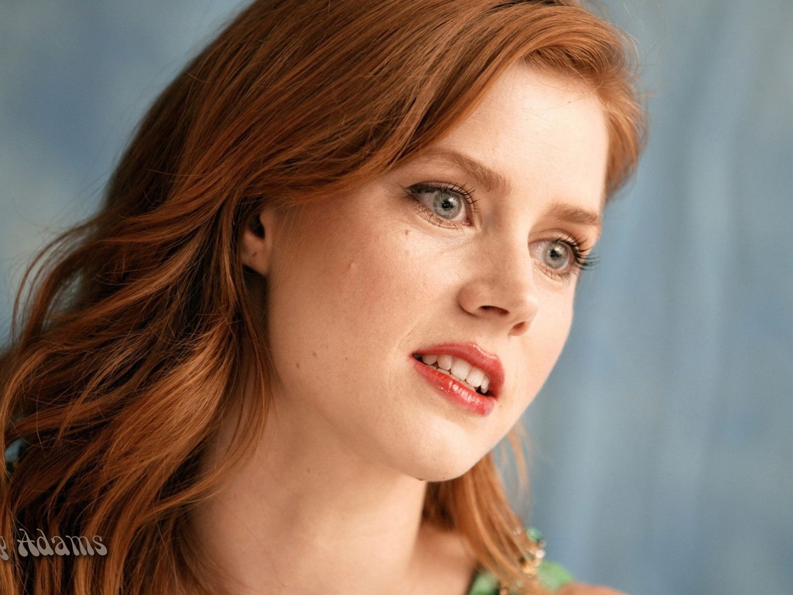 Amy Adams #009 - 1600x1200 Wallpapers Pictures Photos Images