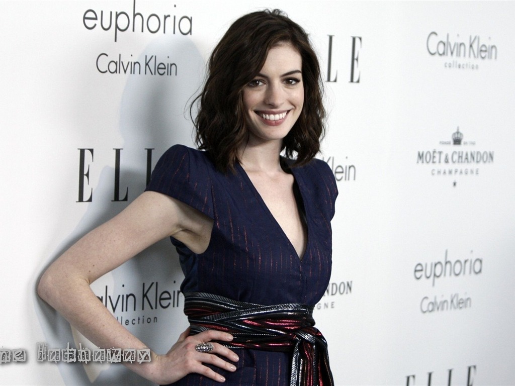 Anne Hathaway #036 - 1024x768 Wallpapers Pictures Photos Images