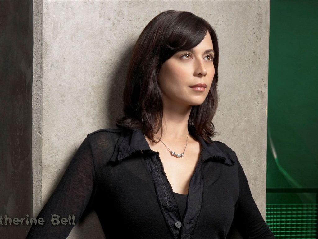 Catherine Bell #020 - 1024x768 Wallpapers Pictures Photos Images
