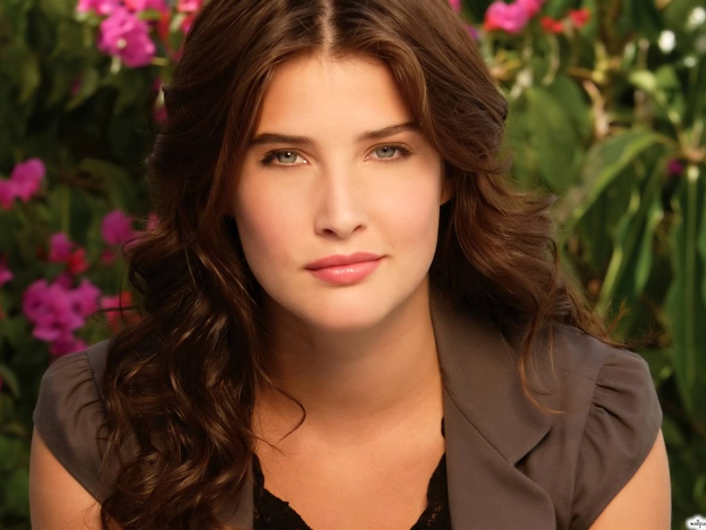 Cobie Smulders #010 - 1024x768 Wallpapers Pictures Photos Images