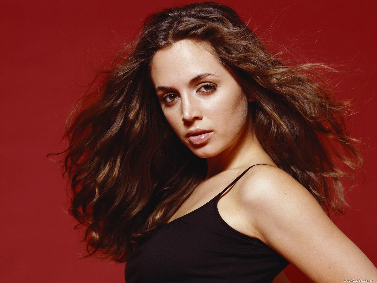 Eliza Dushku #022 - 1600x1200 Wallpapers Pictures Photos Images