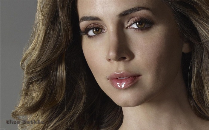 Eliza Dushku #041 Wallpapers Pictures Photos Images Backgrounds