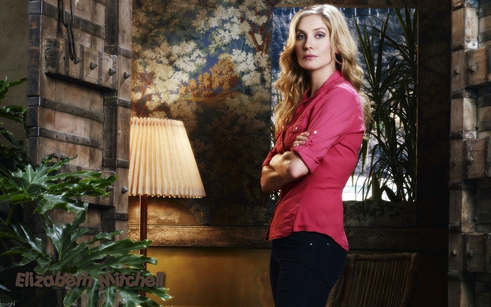 Elizabeth Mitchell #009 - 1680x1050 Wallpapers Pictures Photos Images