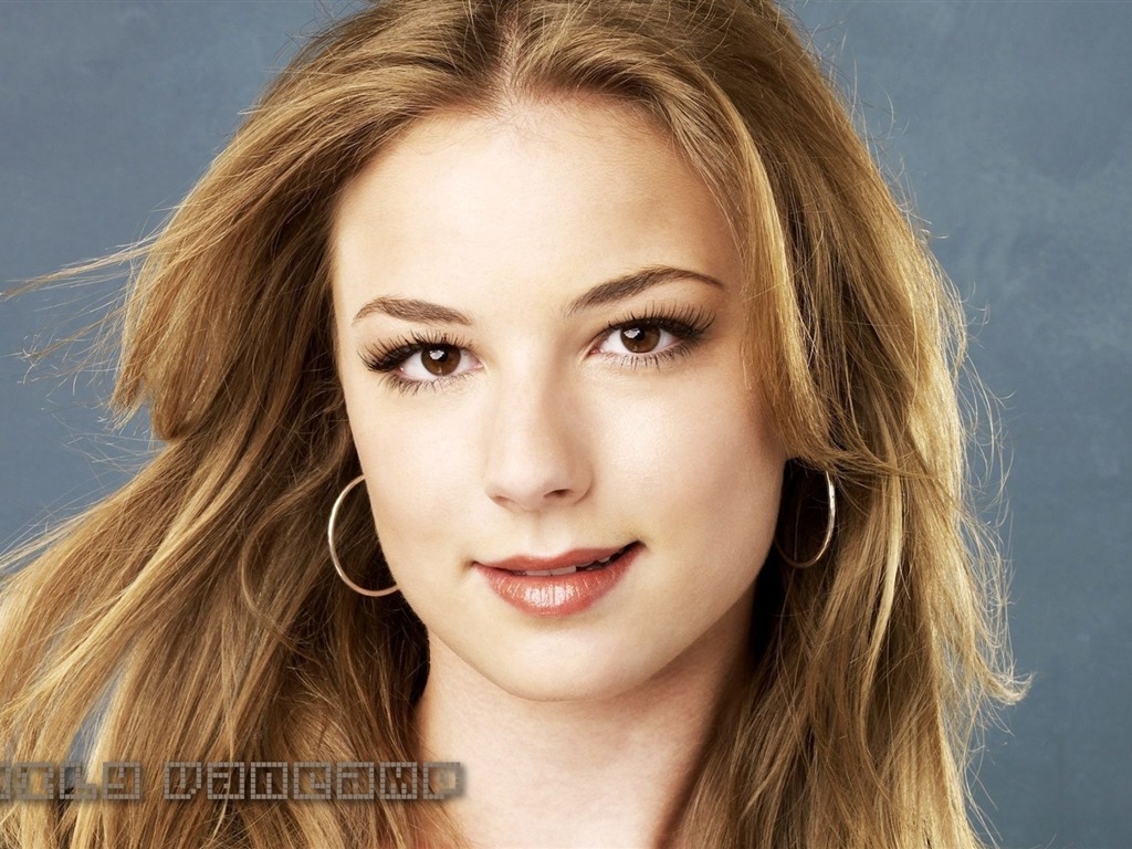 Emily VanCamp #001 - 1024x768 Wallpapers Pictures Photos Images