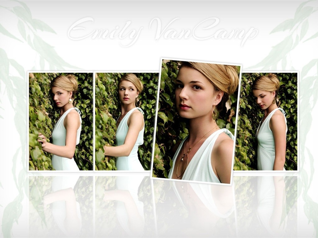 Emily VanCamp #002 - 1024x768 Wallpapers Pictures Photos Images