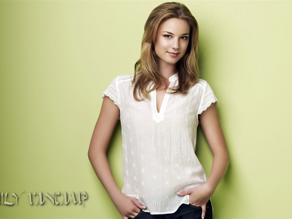 Emily VanCamp #003 - 1024x768 Wallpapers Pictures Photos Images