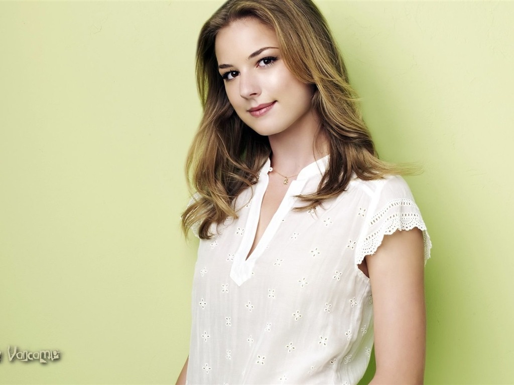 Emily VanCamp #004 - 1024x768 Wallpapers Pictures Photos Images
