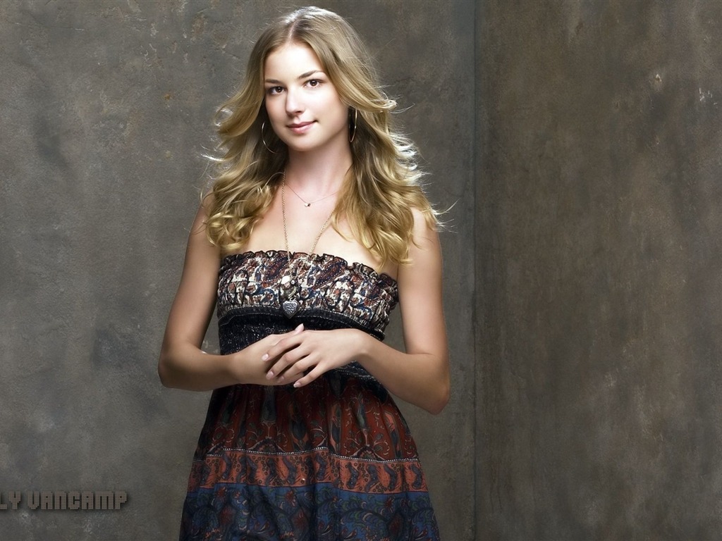 Emily VanCamp #008 - 1024x768 Wallpapers Pictures Photos Images