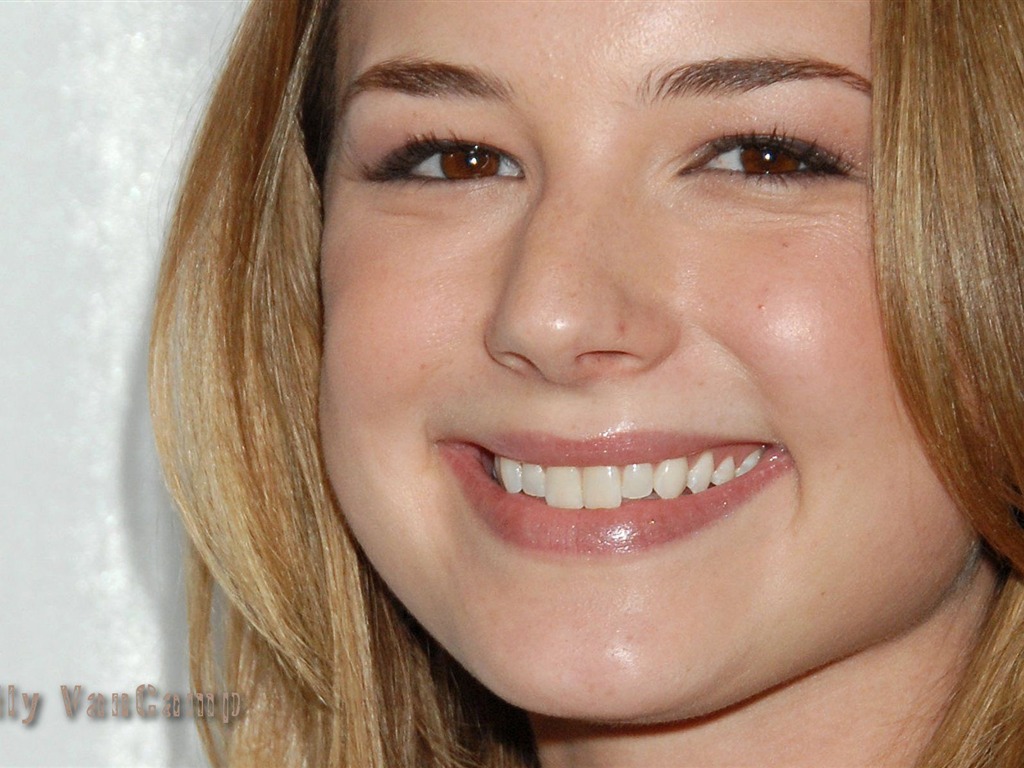 Emily VanCamp #009 - 1024x768 Wallpapers Pictures Photos Images