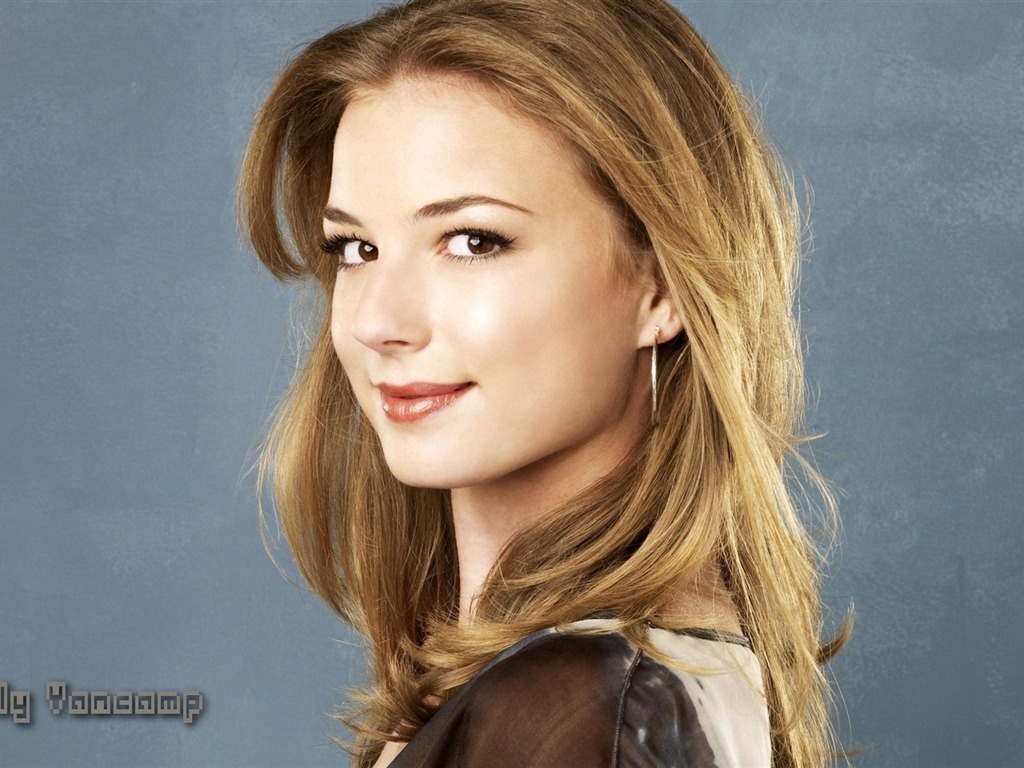 Emily VanCamp #012 - 1024x768 Wallpapers Pictures Photos Images