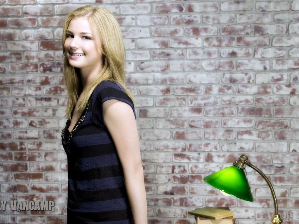 Emily VanCamp #014 - 1024x768 Wallpapers Pictures Photos Images