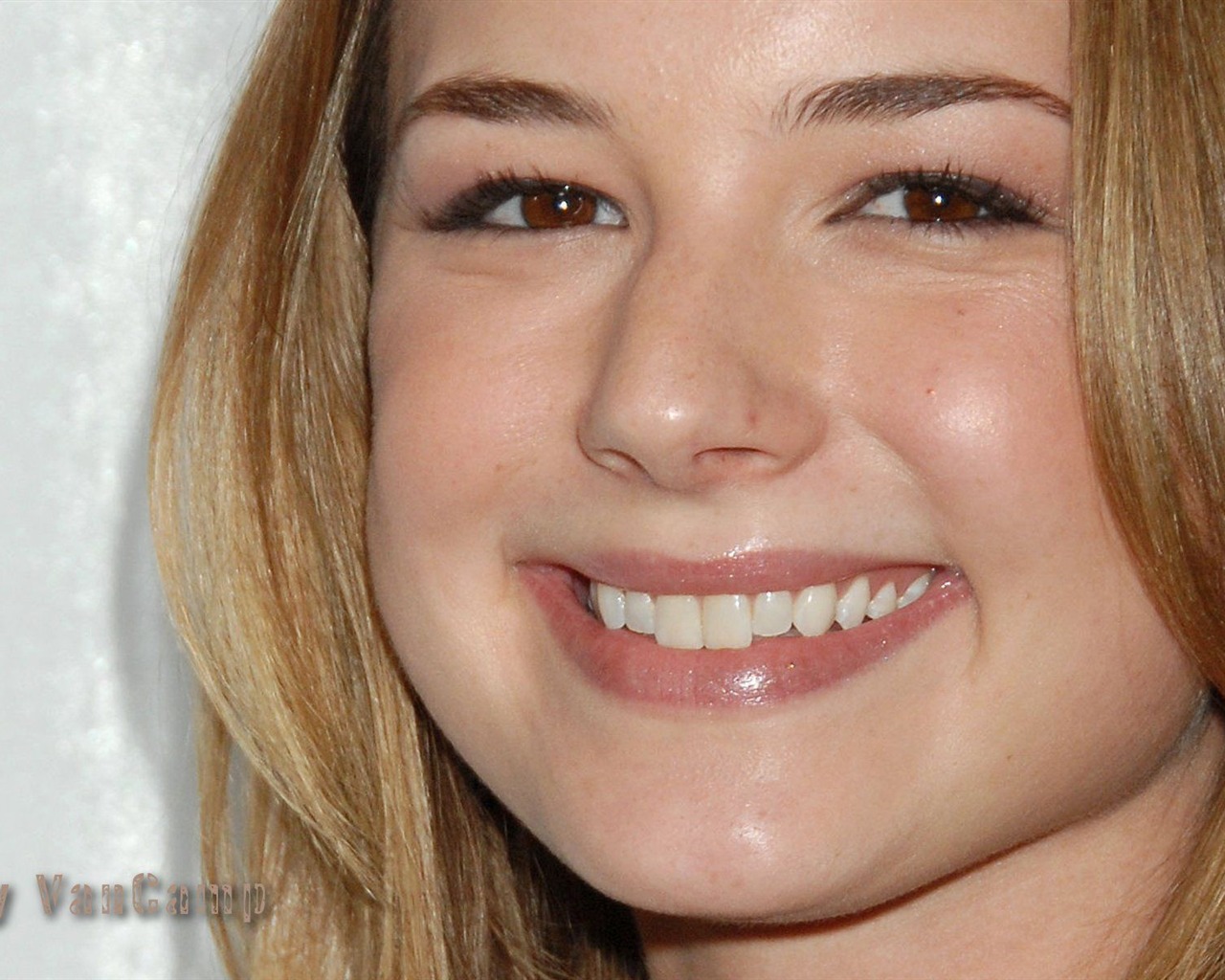 Emily VanCamp #009 - 1280x1024 Wallpapers Pictures Photos Images