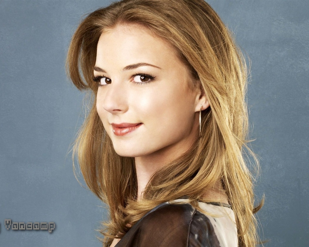 Emily VanCamp #012 - 1280x1024 Wallpapers Pictures Photos Images