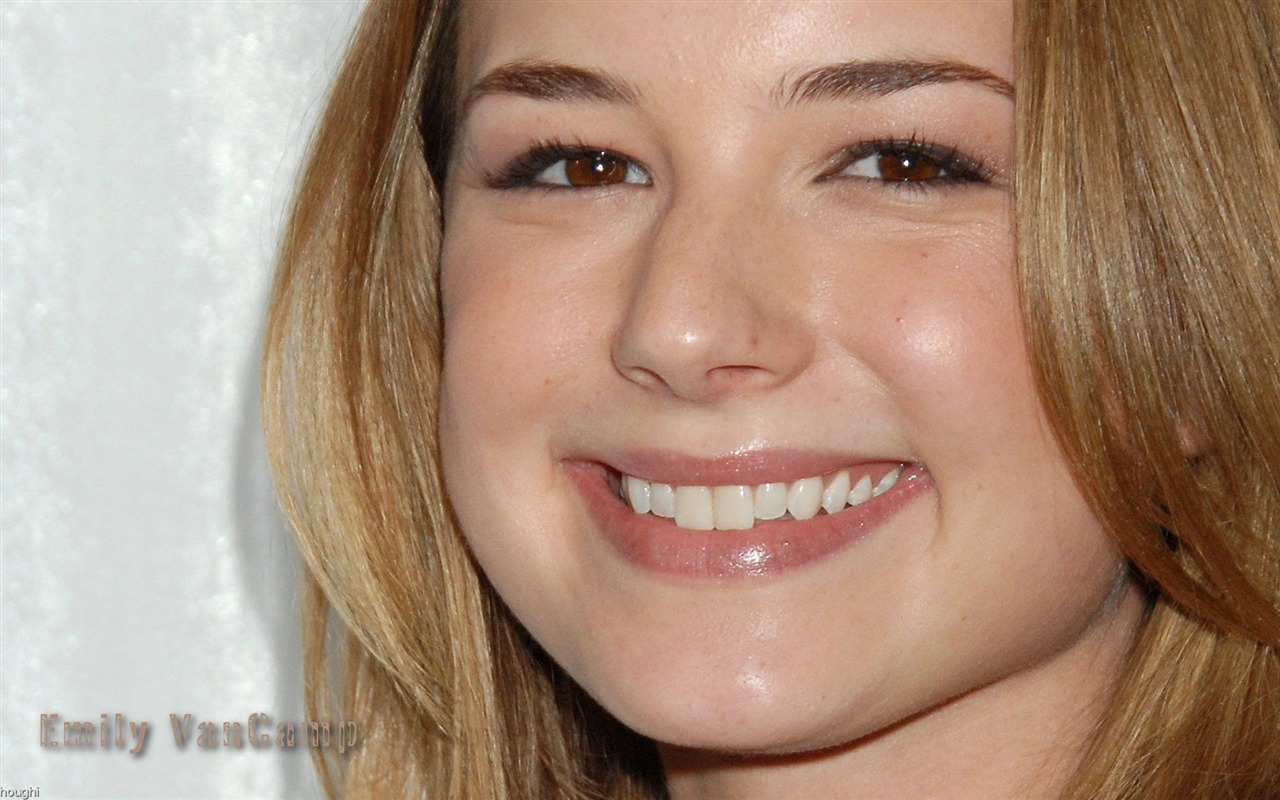 Emily VanCamp #009 - 1280x800 Wallpapers Pictures Photos Images