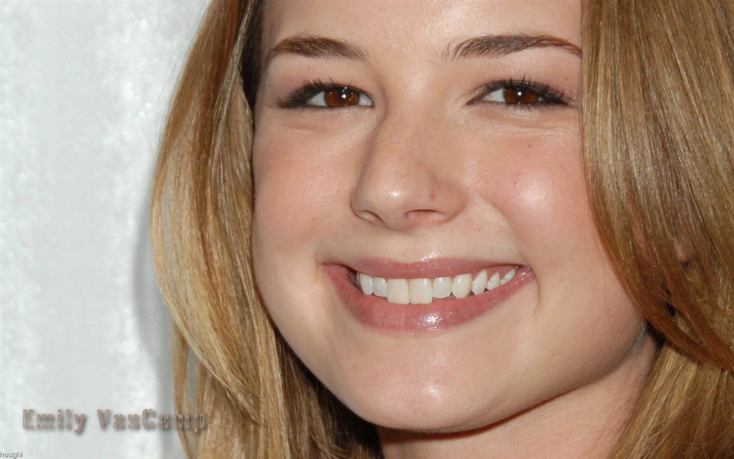 Emily VanCamp #009 - 1440x900 Wallpapers Pictures Photos Images