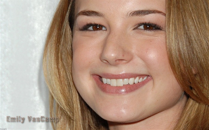 Emily VanCamp #009 Wallpapers Pictures Photos Images Backgrounds
