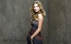Emily VanCamp #007 Wallpapers Pictures Photos Images