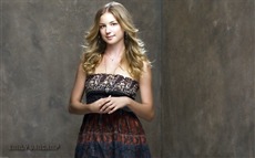 Emily VanCamp #008 Wallpapers Pictures Photos Images