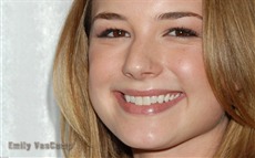 Emily VanCamp #009 Wallpapers Pictures Photos Images