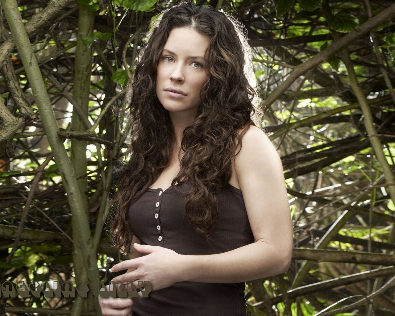 Evangeline Lilly #013 - 1280x1024 Wallpapers Pictures Photos Images