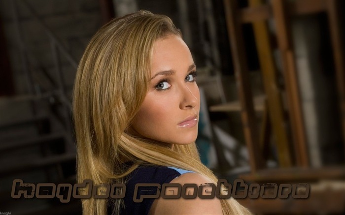 Hayden Panettiere #008 Wallpapers Pictures Photos Images Backgrounds