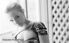 Hayden Panettiere #014 Wallpapers Pictures Photos Images