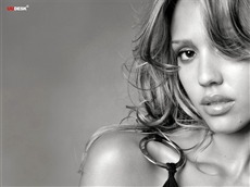 Jessica Alba #130 Wallpapers Pictures Photos Images
