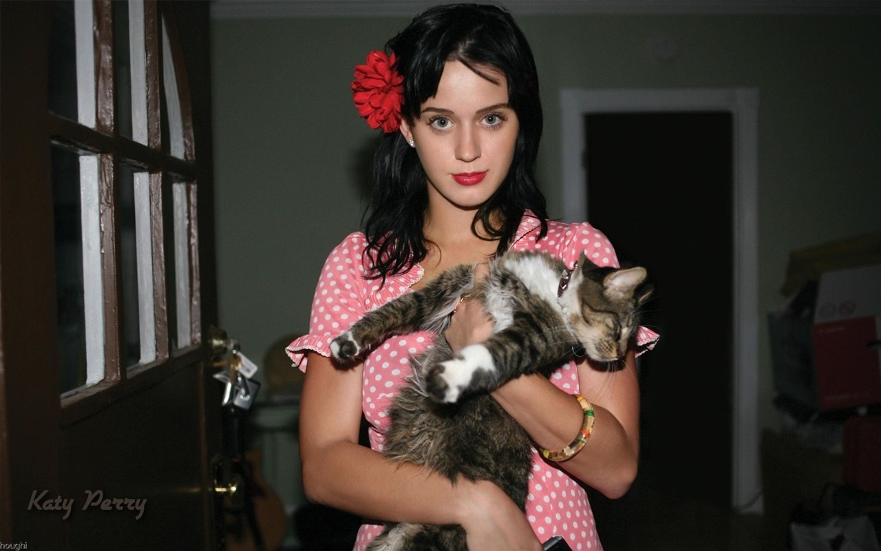 Katy Perry #001 - 1280x800 Wallpapers Pictures Photos Images