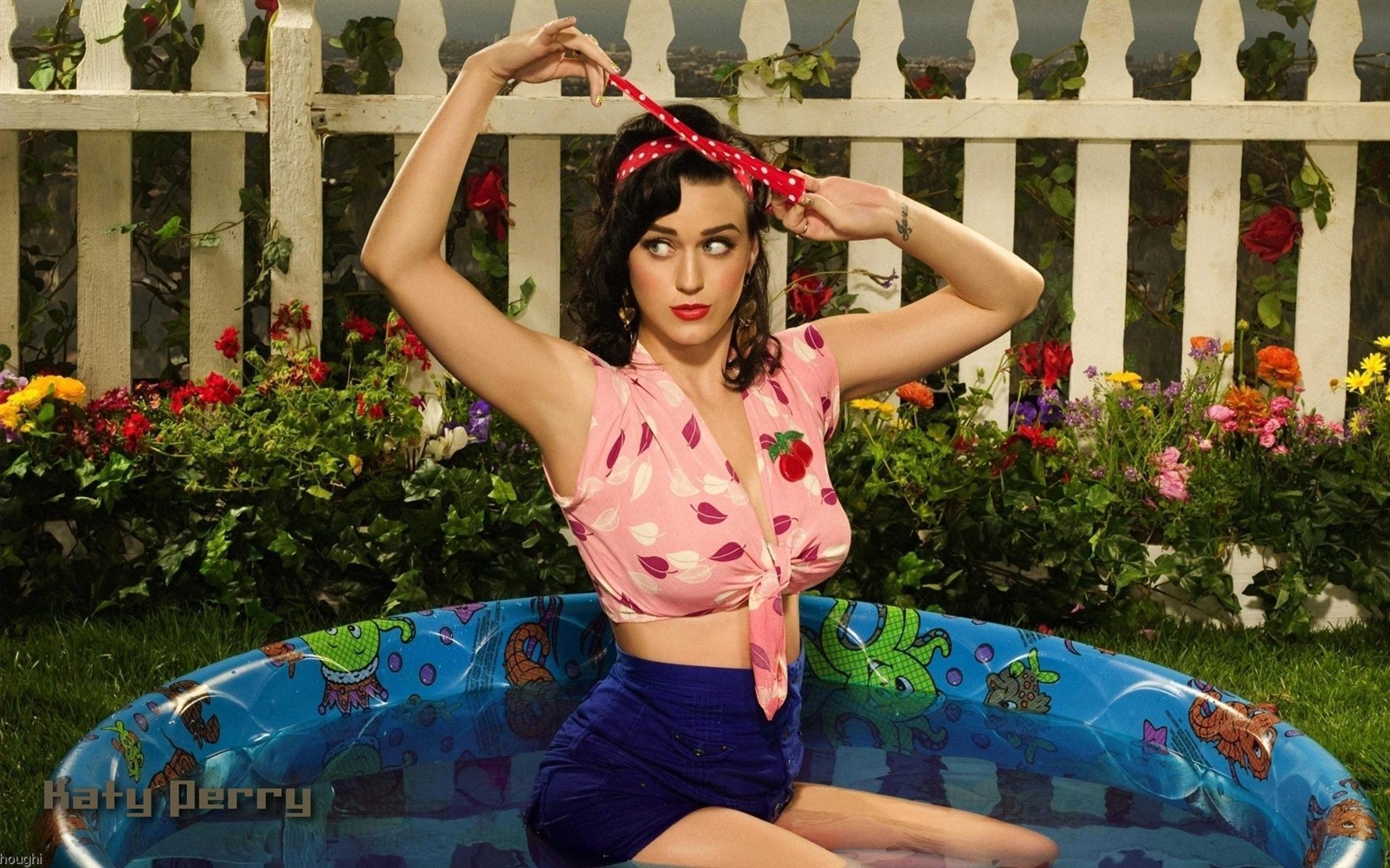 Katy Perry #003 - 1680x1050 Wallpapers Pictures Photos Images