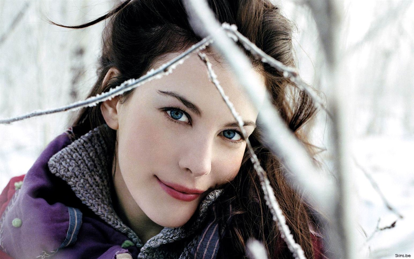 Liv Tyler #030 - 1680x1050 Wallpapers Pictures Photos Images