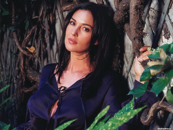 Monica Bellucci #025 Wallpapers Pictures Photos Images Backgrounds