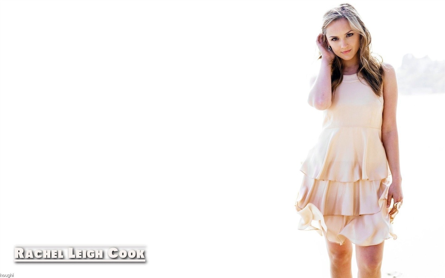 Rachael Leigh Cook #014 - 1440x900 Wallpapers Pictures Photos Images