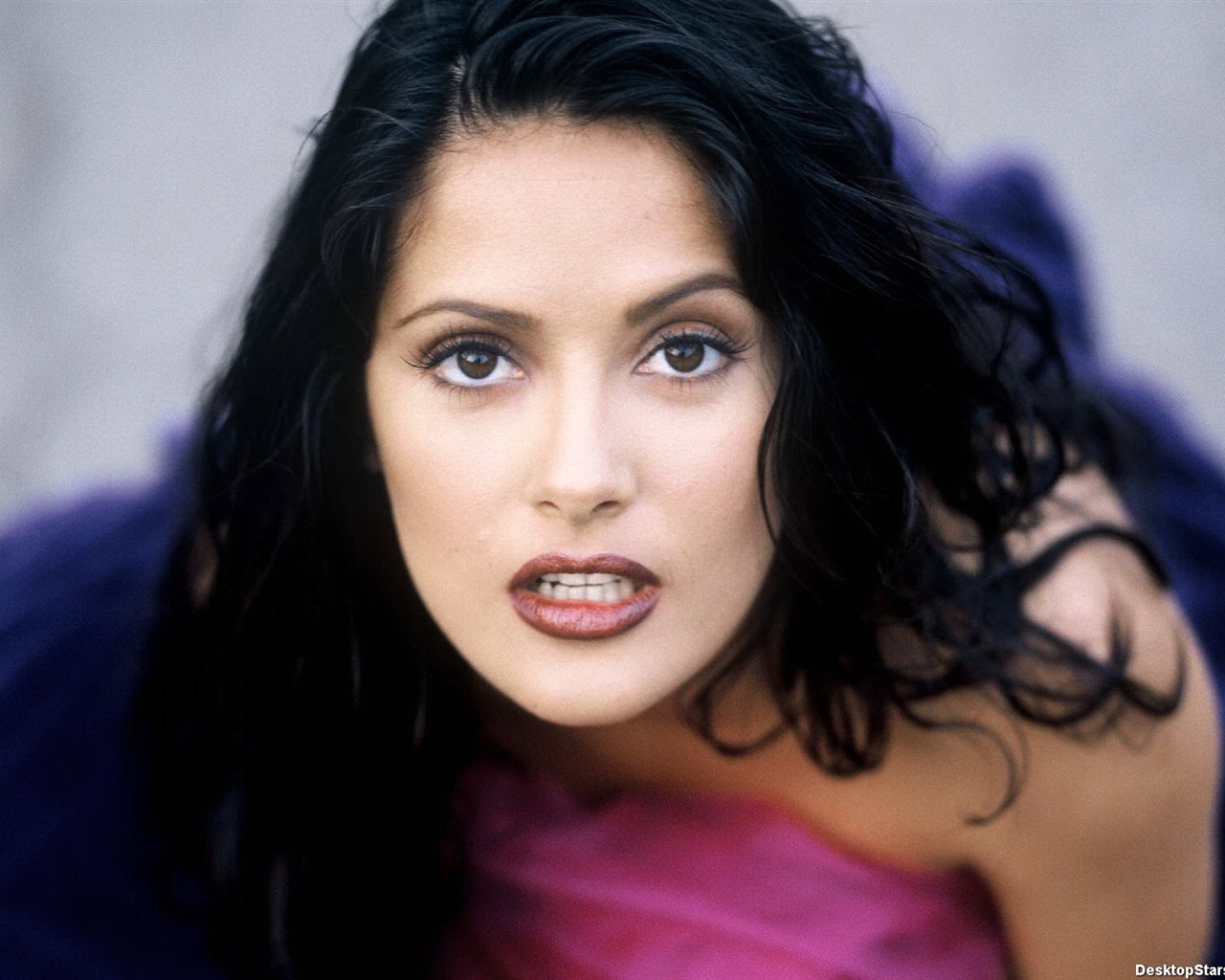 Salma Hayek #049 - 1280x1024 Wallpapers Pictures Photos Images