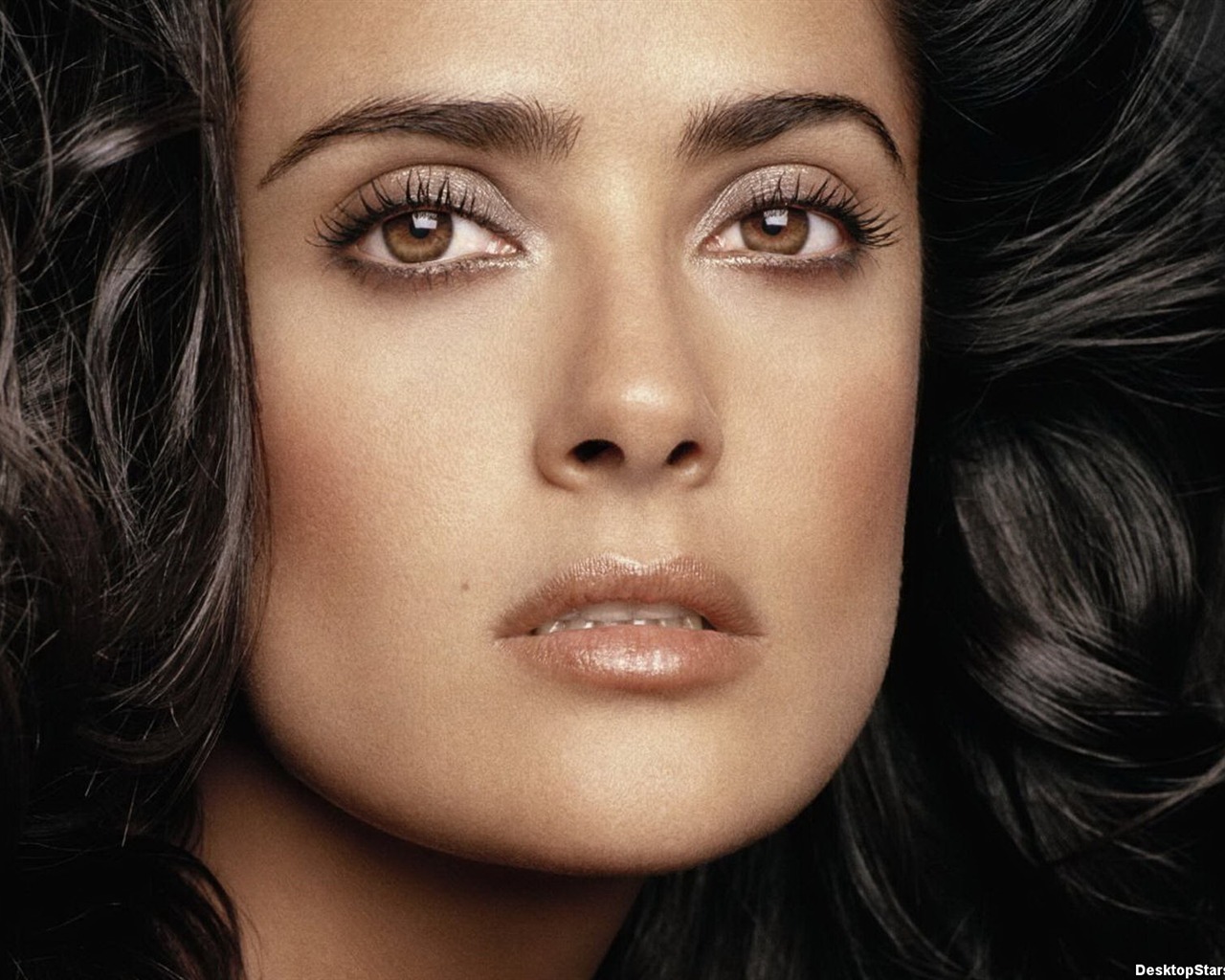 Salma Hayek #058 - 1280x1024 Wallpapers Pictures Photos Images