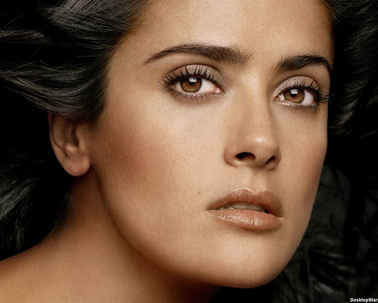 Salma Hayek #068 - 1280x1024 Wallpapers Pictures Photos Images