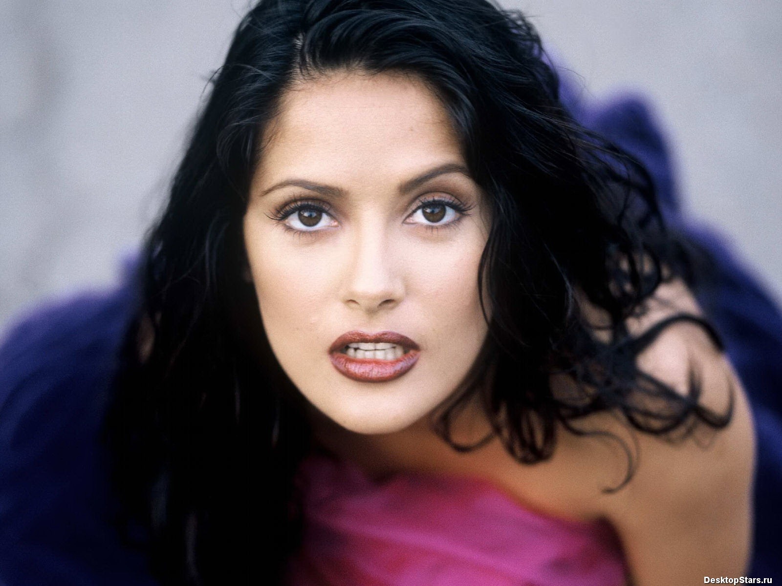 Salma Hayek #049 - 1600x1200 Wallpapers Pictures Photos Images