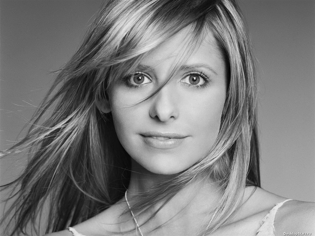 Sarah Michelle Gellar #003 - 1024x768 Wallpapers Pictures Photos Images