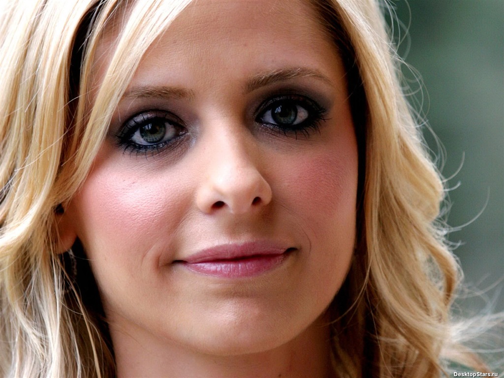 Sarah Michelle Gellar #033 - 1024x768 Wallpapers Pictures Photos Images