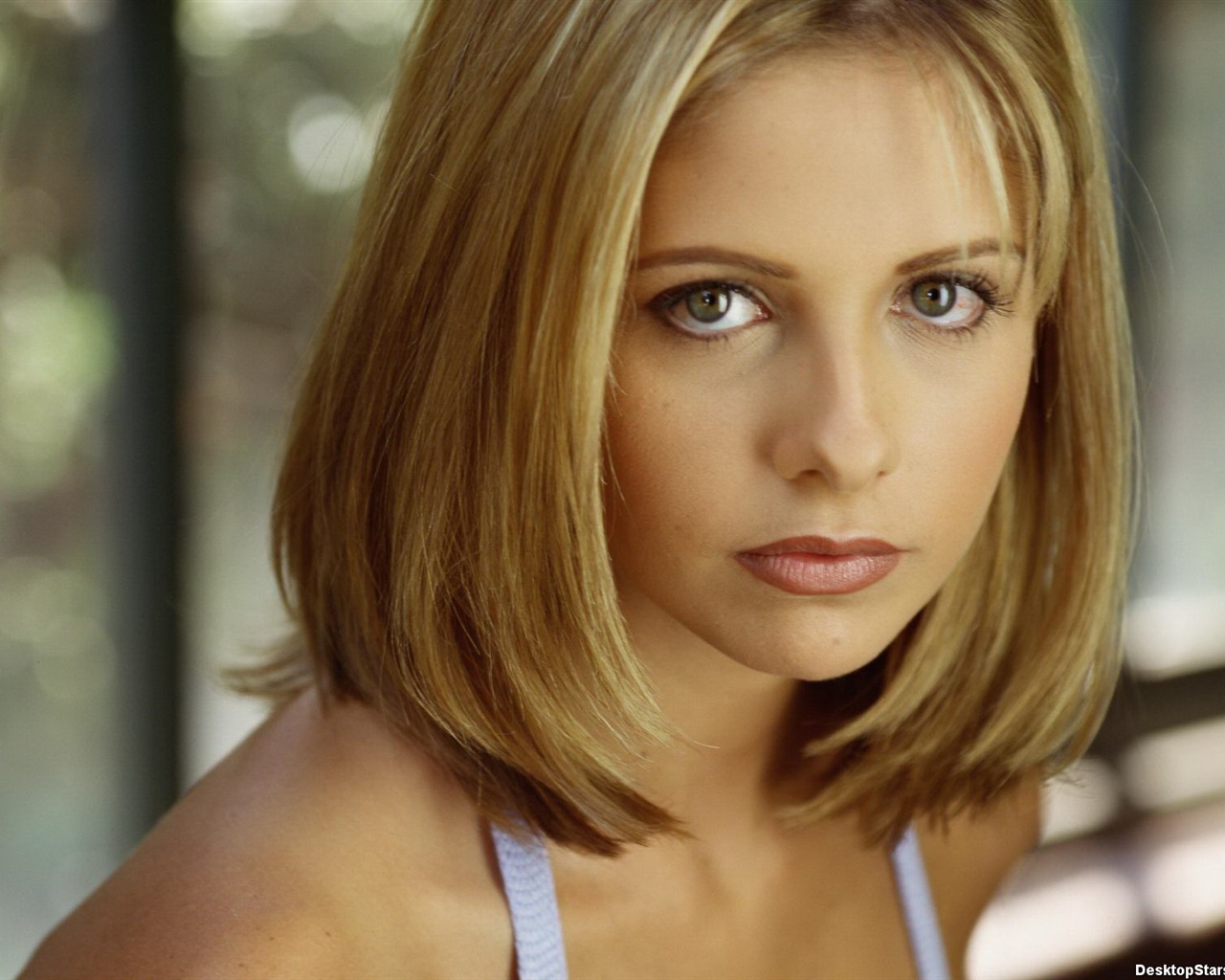 Sarah Michelle Gellar #023 - 1280x1024 Wallpapers Pictures Photos Images