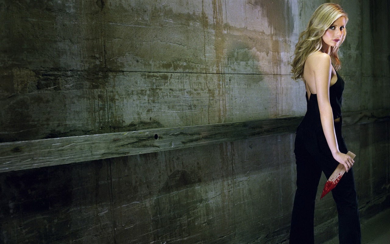 Sarah Michelle Gellar #036 - 1280x800 Wallpapers Pictures Photos Images