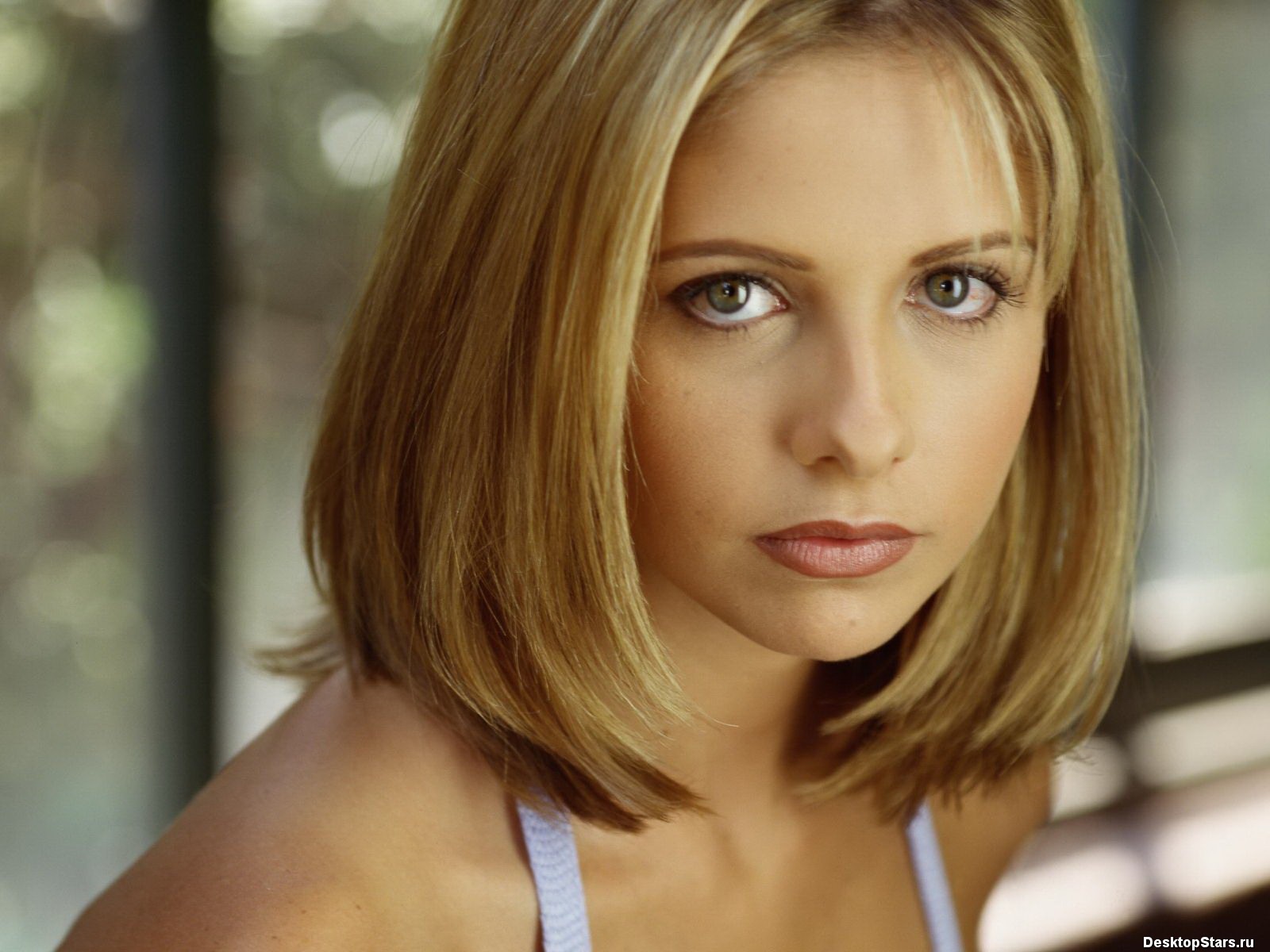 Sarah Michelle Gellar #023 - 1600x1200 Wallpapers Pictures Photos Images