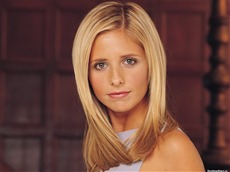 Sarah Michelle Gellar #014 Wallpapers Pictures Photos Images