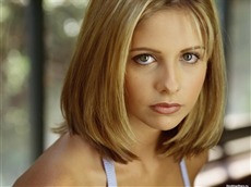 Sarah Michelle Gellar #023 Wallpapers Pictures Photos Images